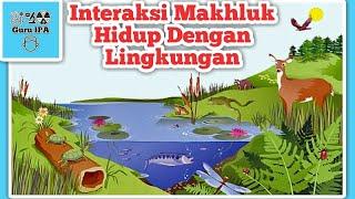 Interaksi Makhluk Hidup Dengan Lingkungan | Pola Interaksi Dalam Ekosistem | Simbiosis