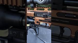 FX Impact M4: The Evolution of Airgun Precision