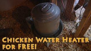 Chicken Water Heater  - FREE - Backyard Chickens