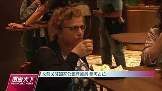 莫三比克栽種高氣候韌性咖啡 兼顧經濟與森林復育｜20221113 全球現場漫遊天下