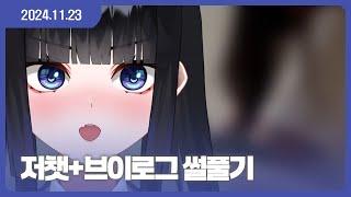 [24.11.23] 저챗+실사브이로그 썰풀기