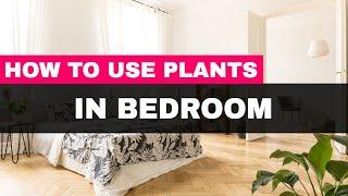 How to Use Plants in Your Bedroom for Good Feng Shui