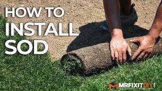 How to Install Sod | A DIY Guide