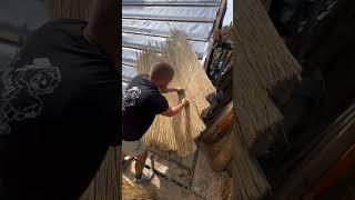 The boy covered the roof of the house with bushes  #shortsvideo