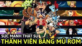 SỨC MẠNH LỚN NHẤT Của Mỗi Thành Viên Băng MŨ RƠM !