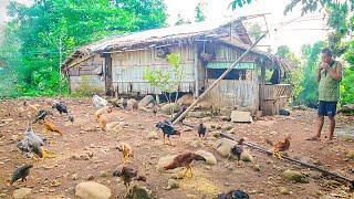 A Simple Life of a Filipino Farmer | Filipino Countryside | Farm life