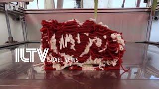 What the meat? The Israeli invention printing plant based protein