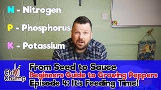 Episode 4:  It's Feeding Time! All about Fertilisation (Beginners Guide to Growing Peppers) (2018)