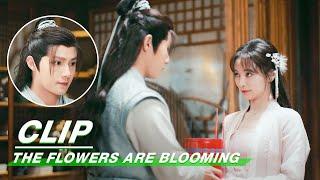 Clip: Li Gives Chen His Present | The Flowers Are Blooming EP06 | 清风朗月花正开 | iQiyi