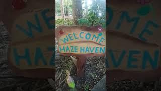 part 2 video @haze heaven resort kaputian samal island :) Jomsz moto VlogtV