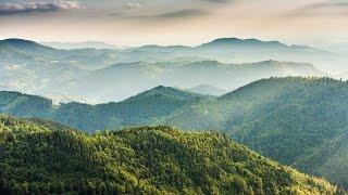 Vier Jahreszeiten im Nationalpark Schwarzwald