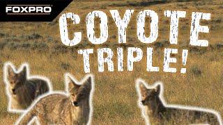 Coyote Chaos Triple!