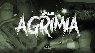 Vale - Agrimia (Official Music Video)