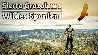 Traumtour zu Geiern, Burgen und weissen Dörfern - Zahara & Sierra de Grazalema in Spanien