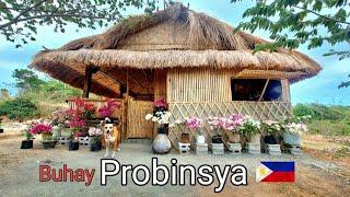 Bahay kubo refill and cooking binignit | Life in the province | Biag ti Away by Balong