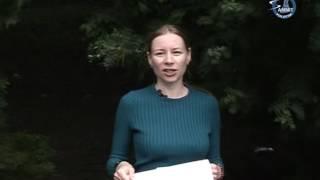 «Полацкі веснік». Обзор номера газеты за 7 июня 2016 г.