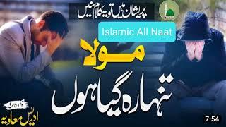 Heart Touching Emotional Kalam | Men Khud Say Baygana Idrees Muawiya | Nasheed Cl | Islamic All Naat