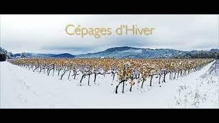 CEPAGES D'HIVER