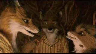 Fantastic Mr. Fox - "different"