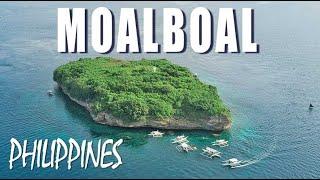 Pescador, MOALBOAL Scuba Diving | CEBU, Philippines (WeWillNomad)