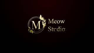 Meow Studio Animation