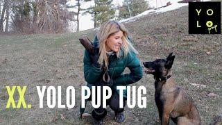 WHY WE LOVE THE YOLO PUP TUG | How Play Builds The Bond