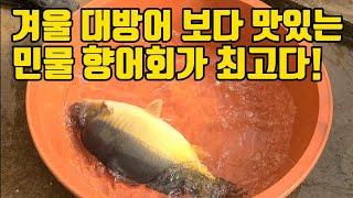 겨울 대방어 보다 맛있는 민물 향어회와 향어매운탕을 직접 손질하고 회뜨고 요리해서 소주한잔 했습니다.