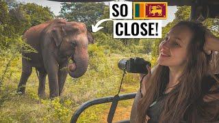 You Won't Believe What Happened on Our Sri Lanka Safari (Udawalawe)