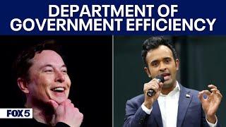 What will the Department of Government Efficiency actually do?