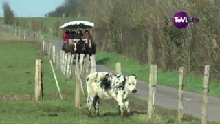 Promenade au Marais du Cotentin et du Bessin