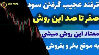 روزانه 250 دلار سود کن| آموزش استراتژی که ضرر نداره