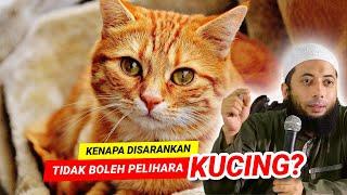 KENAPA DISARANKAN TIDAK BOLEH PELIHARA KUCING ?? - Ustadz Dr Khalid Basalamah