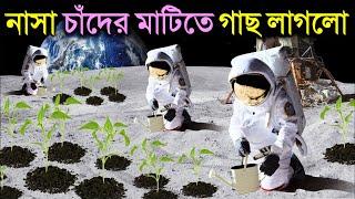 নাসার বিজ্ঞানীরা চাঁদের মাটিতে গাছ লাগিয়ে সবাইকে অবাক করে দিলো | Nasa Started Farming on the Moon