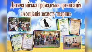 Ассоциация Защиты Животных | Помощь животным, конкурсы, акции