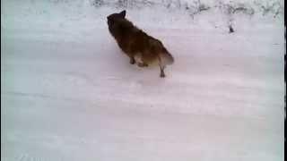 VID 20150207 171719