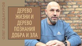 Дерево Жизни и дерево Познания | ОЛЕГ ВАНДАКУРОВ