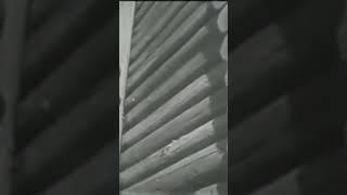 Павлодар, как появился город. Архивное видео, 1971 г. #shorts #история #реки #иртыш  #павлодар
