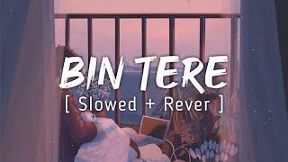 Bin Tere Lyrical Song | Slowed + Reverb | Lo-Fi | Music lyrics