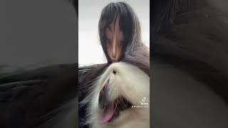 #dog #funny #fyp #foryou #viralvideo