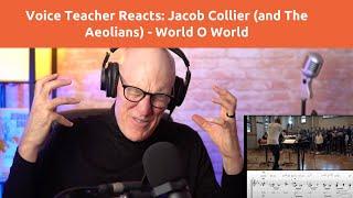 Voice Teacher Reacts - Jacob Collier: World O World (Live with The Aeolians)