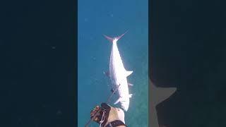 #fishing #seafishing #excitingsport