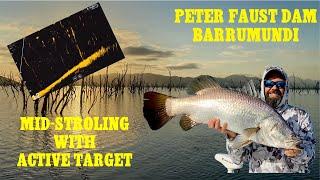 Chasing Barramundi Peter Faust Dam MID STROLLING on Active Target