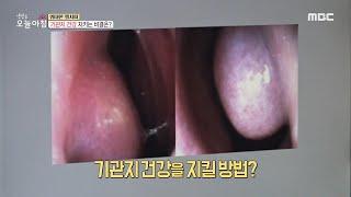 [생방송 오늘 아침] 기관지 건강을 지킬 방법?! MBC 200922 방송