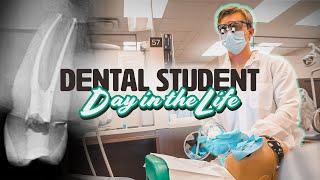 How Hard Are Root Canals?? // Dental School Day in the Life // YEAR 3