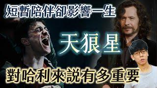 短暫陪伴卻影響一生！天狼星對哈利來說有多重要？他的死為何讓哈利崩潰？【哈利波特透視鏡】#18|奇幻圖書館