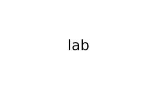 lab #slang #slangs #english #meaning #meanings #definition #definitions
