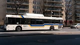 The beeline 8 Bus goes Tuckahoe