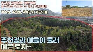 N217 - 강원특별자치도 영월군 주천면의 야트막한 둔턱으로 주천강과 마을이 둘러싼 (산 전체) 예쁜 토지 매매