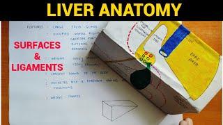 Liver Anatomy (1/4) | Surfaces & Ligaments of Liver | EOMS