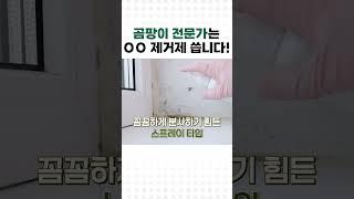 곰팡이 전문가는 OO 제거제 씁니다! #곰팡이제거 #곰팡이